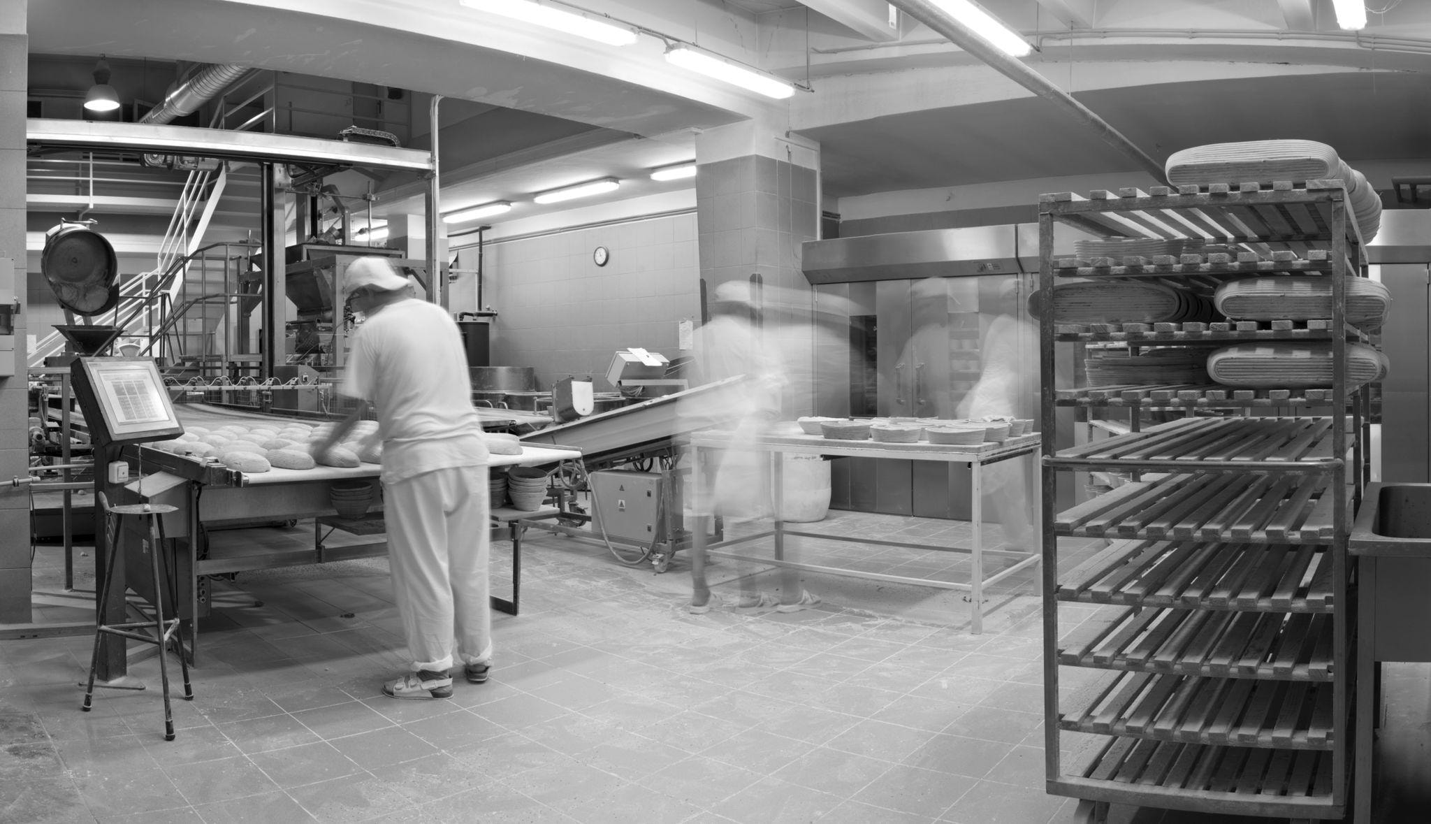 Industrial refrigeration compressor room